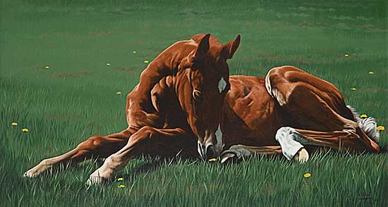 #2114 ~ Halvorson - Signs of Spring