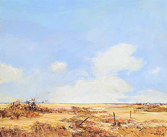 #2127 ~ Herold - Farm Near Kindersley