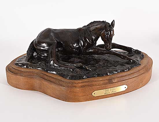 #2132 ~ Hoar - The Foal  #13/20