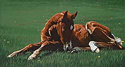 #2114 ~ Halvorson - Signs of Spring