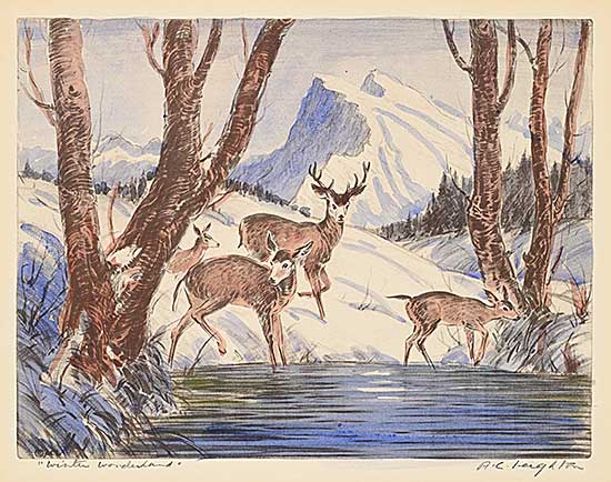 #2190 ~ Leighton - Winter Wonderland