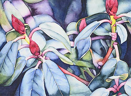 #2208 ~ Macaulay - Butchart Gardens: Christmas Eve #1