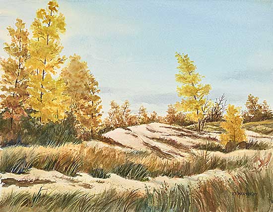 #2215 ~ Martin - Near Gull Lake