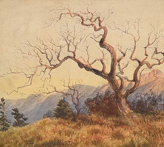 #2217 ~ Martin - Untitled - Weathered Form