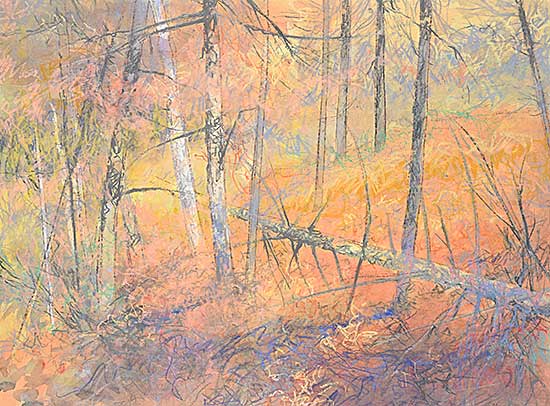 #2243 ~ More - Descending into Evening