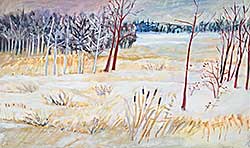 #2210 ~ Malin - Chickakoo Lake in Winter