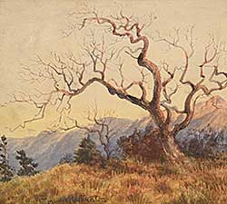 #2217 ~ Martin - Untitled - Weathered Form