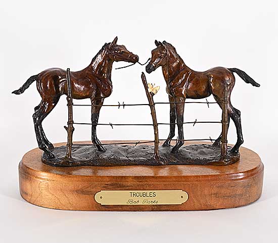 #2276 ~ Parks - Troubles  #10/35