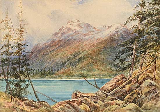 #2305 ~ Power - Untitled - Through the Trees