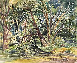 #2306 ~ Pragnell - Oldman River Trees #2306 ~ Pragnell - Oldman River Trees