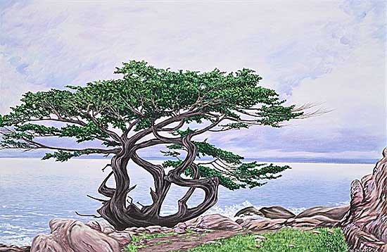 #2351 ~ Skrabeck - Untitled - Wise Old Tree