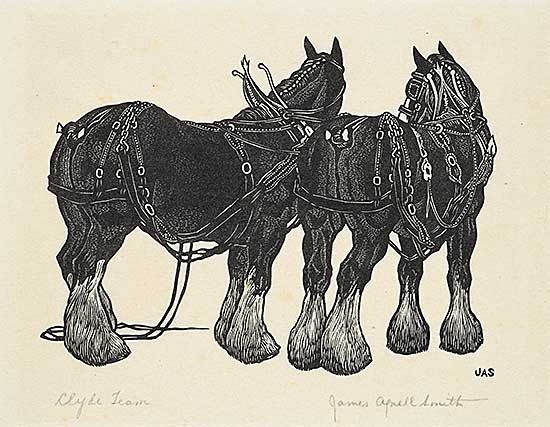 #2353 ~ Smith - Clyde Team