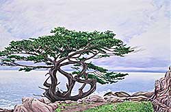 #2351 ~ Skrabeck - Untitled - Wise Old Tree