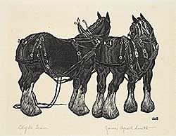 #2353 ~ Smith - Clyde Team