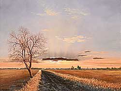 #2399 ~ Wong - Big Sky Country