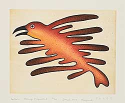 #1032 ~ Ashevak - Splash  #40/50