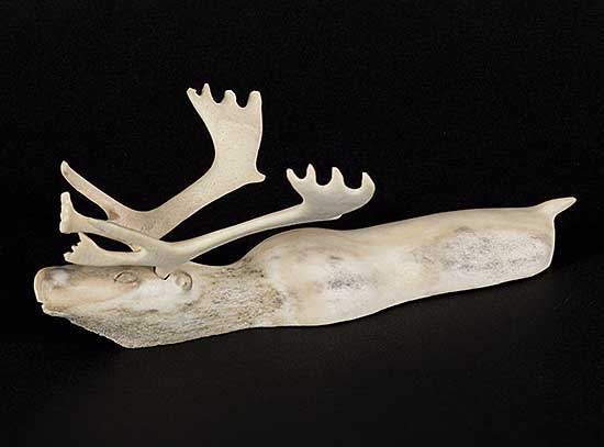 #1133 ~ Kayakjuak - Untitled - Swimming Bull Caribou