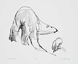 #1090 ~ Houston - Polar Bears  #81/150 [Arctic Drawings]