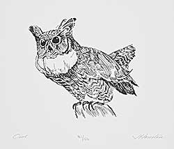 #1091 ~ Houston - Owl  #81/150 [Arctic Drawings]