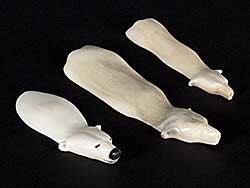 #1119 ~ Kadloo - Untitled - Swimming Polar Bears