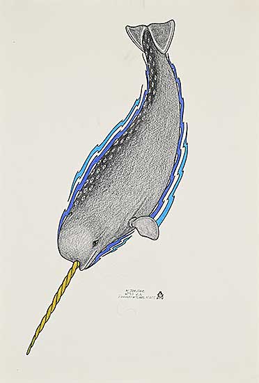 #1218 ~ Pee - Untitled - Diving Narwhal