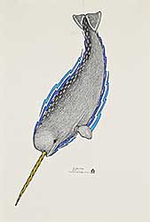 #1218 ~ Pee - Untitled - Diving Narwhal
