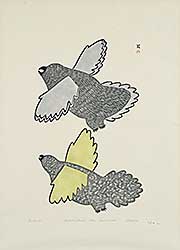 #1229 ~ Ashoona - New Birds  #12/50