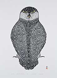 #1241 ~ Pootoogook - Dark Owl  #1/50