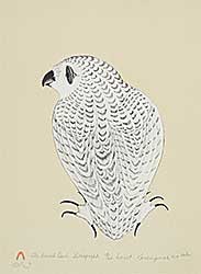 #1242 ~ Pootoogook - The Small Owl  #18/60