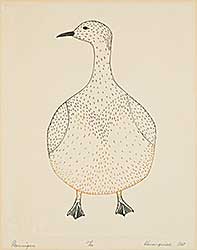 #1243 ~ Pootoogook - Ptarmigan  #21/50