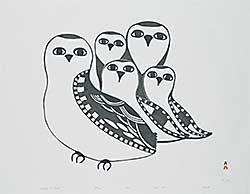 #1249 ~ Pudlat - Family of Owls  #33/50