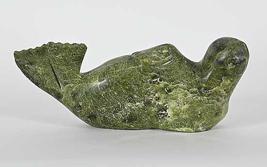 #1306 ~ School - Untitled - Basking Seal