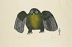 #1273 ~ Saila - Owl  #39/50