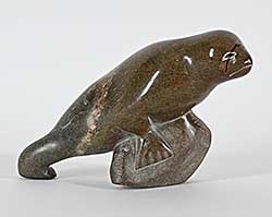 #1326 ~ School - Untitled - Perched Seal