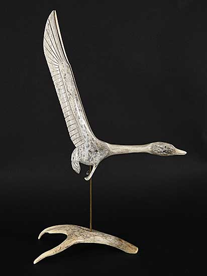 #1345 ~ Shantz - Untitled - Flying Canada Goose