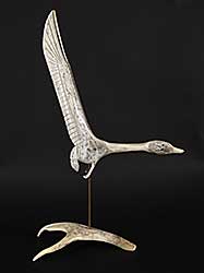 #1345 ~ Shantz - Untitled - Flying Canada Goose