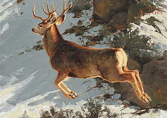 #13 ~ Beechum - Untitled - Mid Jump