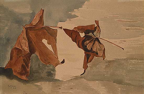 #23 ~ Bobak - Untitled - Turning Leaves