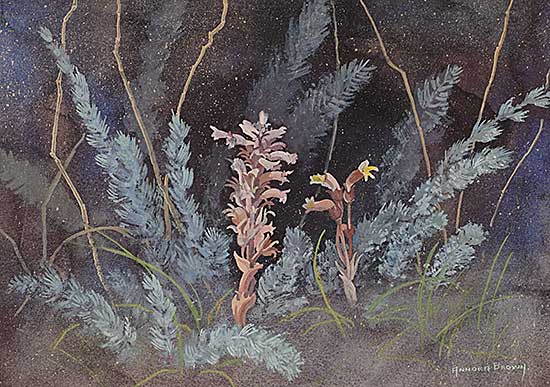 #33 ~ Brown - Untitled - Pink Flowers