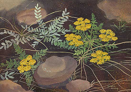 #34 ~ Brown - Untitled - Yellow Flowers