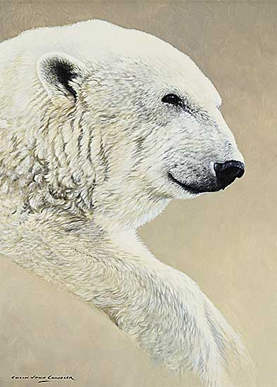 #51 ~ Chandler - Untitled - Polar Bear