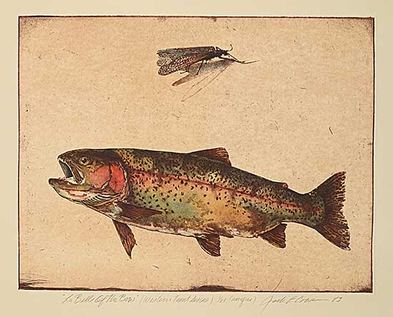 #67 ~ Cowin - La Belle of the Bow [Western Trout Series]  #1/25 [Unique]