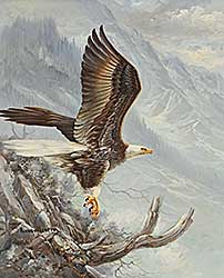 #1 ~ Abbett - Untitled - Eagle