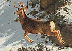 #13 ~ Beechum - Untitled - Mid Jump