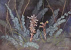 #33 ~ Brown - Untitled - Pink Flowers