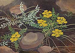 #34 ~ Brown - Untitled - Yellow Flowers