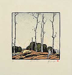 #44 ~ Casson - Sparrow Lake  #69/250