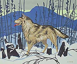 #45 ~ Casson - Timber Wolf
