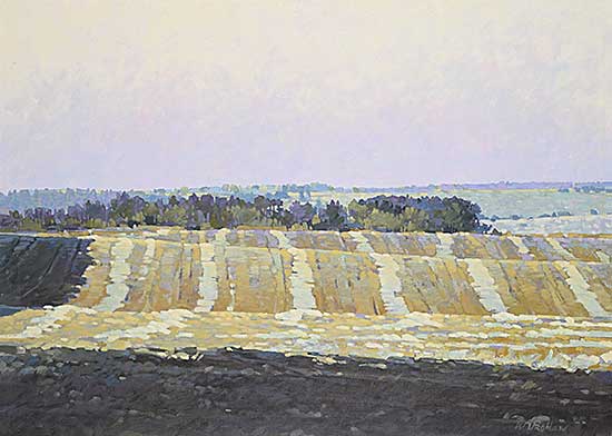 #87 ~ Drohan - Untitled - Blue and Yellow Fields