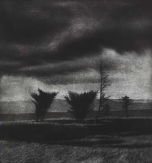 #122 ~ Goudie - Junipers Near Colinet  #7/40